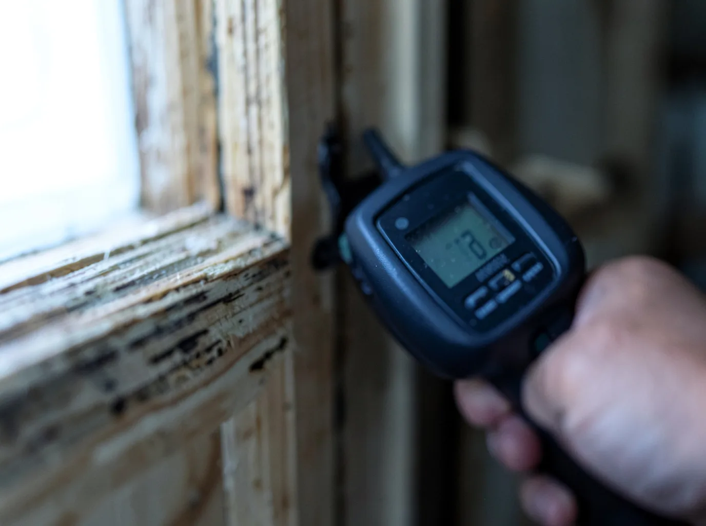 Moisture Inspection And Documentation in New Market, VA